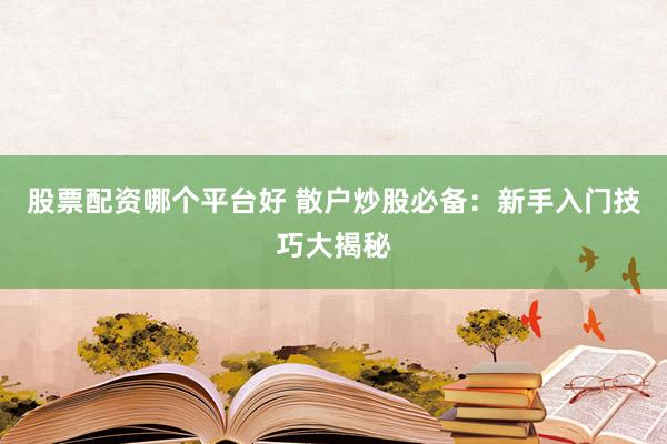 股票配资哪个平台好 散户炒股必备：新手入门技巧大揭秘