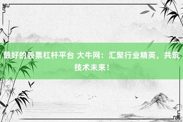 最好的股票杠杆平台 大牛网：汇聚行业精英，共筑技术未来！