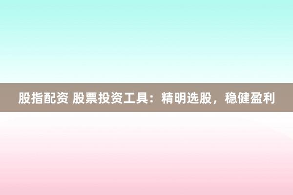 股指配资 股票投资工具：精明选股，稳健盈利