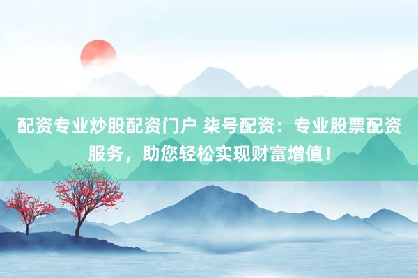 配资专业炒股配资门户 柒号配资：专业股票配资服务，助您轻松实现财富增值！