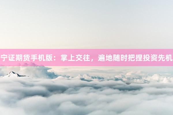 宁证期货手机版：掌上交往，遍地随时把捏投资先机