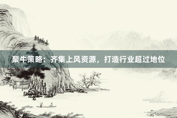 聚牛策略：齐集上风资源，打造行业超过地位