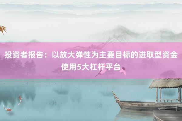 投资者报告：以放大弹性为主要目标的进取型资金使用5大杠杆平台