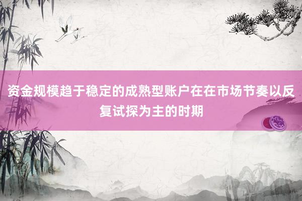资金规模趋于稳定的成熟型账户在在市场节奏以反复试探为主的时期