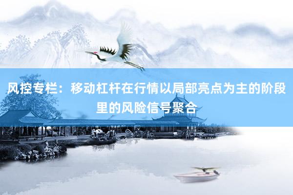 风控专栏：移动杠杆在行情以局部亮点为主的阶段里的风险信号聚合