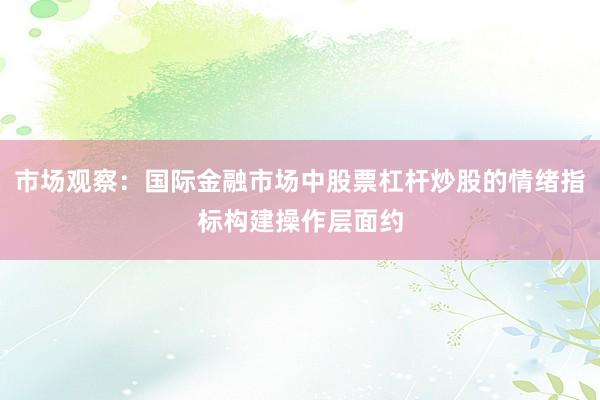 市场观察：国际金融市场中股票杠杆炒股的情绪指标构建操作层面约