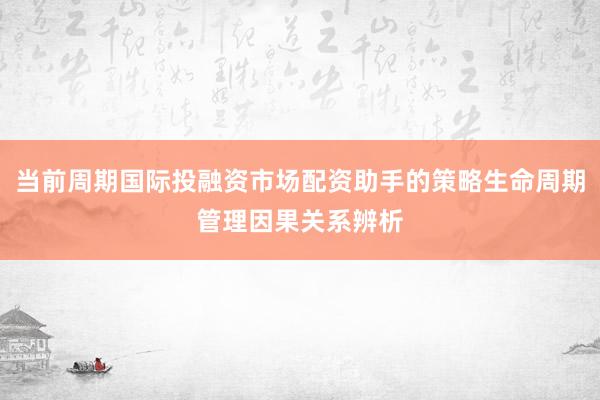 当前周期国际投融资市场配资助手的策略生命周期管理因果关系辨析