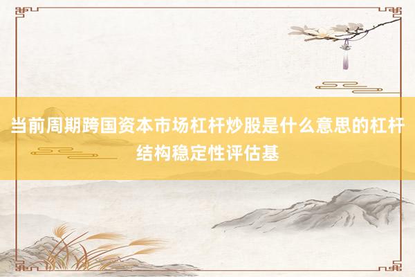 当前周期跨国资本市场杠杆炒股是什么意思的杠杆结构稳定性评估基