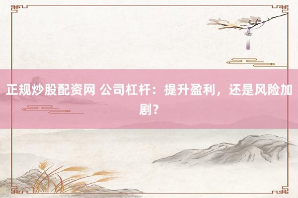 正规炒股配资网 公司杠杆：提升盈利，还是风险加剧？