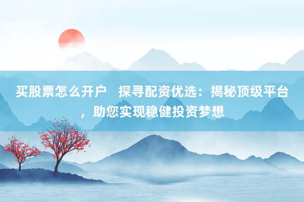 买股票怎么开户   探寻配资优选：揭秘顶级平台，助您实现稳健投资梦想